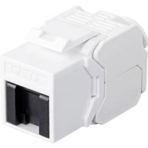 RJ45 vestavný modul Renkforce RF-4547354 Keystone CAT 6A