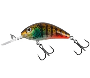 Salmo wobler rattlin hornet floating hot gill clear - 3,5 cm