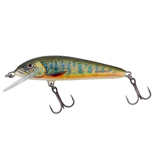 Salmo wobler minnow floating lake charr - 6 cm