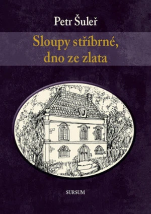 Sloupy stříbrné, dno ze zlata - Petr Šuleř