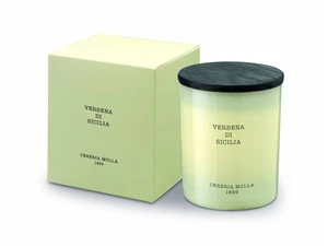 Cereria Mollá Vonná svíčka krémová Verbena di Sicilia (Candle) 230 g