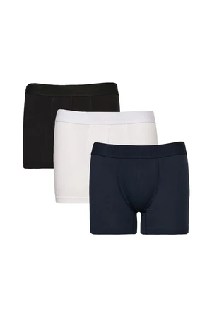 AC&Co / Altınyıldız Classics Men's White-Navy Blue 3-pack of Flexible Cotton Boxers.