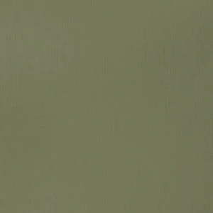 Akrylová barva Basics 22ml – 205 green gray