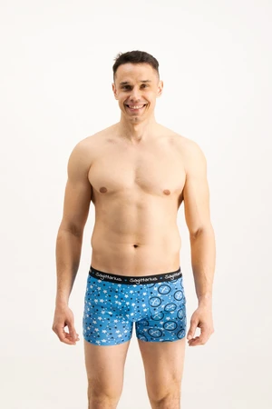 Men's boxers Frogies Zodiac Nyilas