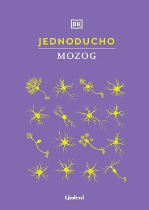 Jednoducho Mozog