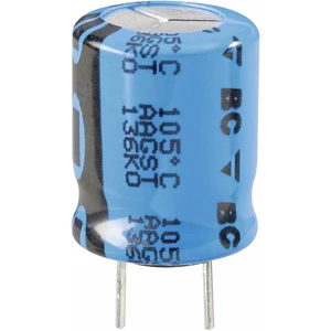 Vishay 2222 136 69101 elektrolytický kondenzátor radiálne vývody  5 mm 100 µF 100 V 20 % (Ø x v) 12.5 mm x 20 mm 1 ks