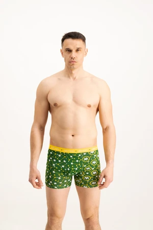 Men's boxers Frogies Zodiac Gemelli