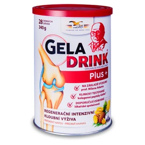 GELADRINK Plus ananás 340 g