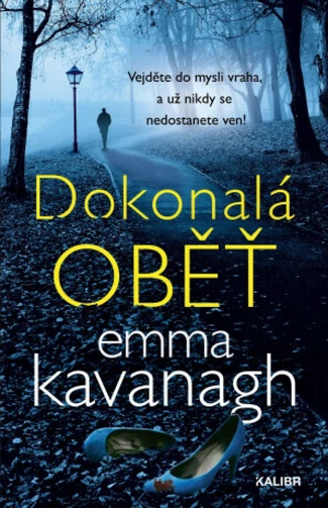 Dokonalá oběť - Emma Kavanagh - e-kniha