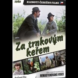 Různí interpreti – Za trnkovým keřem DVD