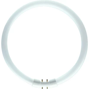 Kruhová zářivka Philips MASTER TL5 Circular 55W/830 T5 2GX13 teplá bílá 3000K