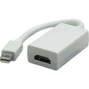 HDMI / DisplayPort adaptér Manhattan 322461-CG, bílá