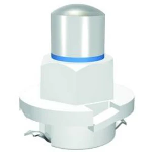 Indikační LED Signal Construct MWTB8464, B8.0-12 (EBSR/BAX) (podobná), 24 V/AC, 24 V/DC, 600 mcd, bílá