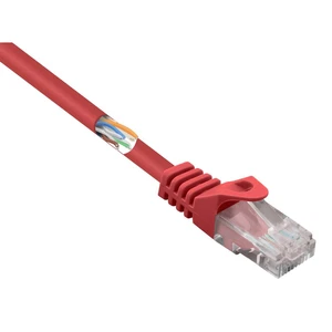 Basetech BT-2272250 RJ45 sieťové káble, prepojovacie káble CAT 5e U/UTP 3.00 m červená s ochranou 1 ks