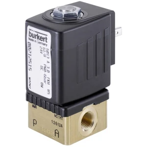 Bürkert priamo riadený ventil 132865 6013 24 V/AC G 1/8 objímka Menovitá vzdialenosť 2 mm  1 ks