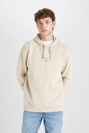 DEFACTO Regular Fit Hooded Printed Sweatshirt