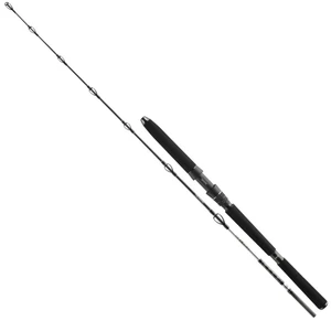 Daiwa prút bg deep sea 2,20 m 30-40 lbs