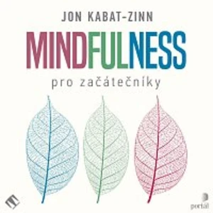 Jana Štvrtecká – Kabat-Zinn: Mindfulness pro začátečníky