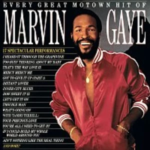 Marvin Gaye – Every Great Motown Hit Of Marvin Gaye LP