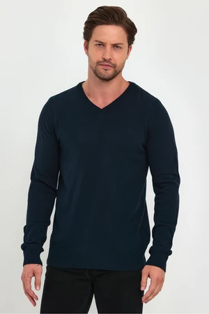 Lafaba Men's Navy Blue V-Neck Basic Knitwear Sweater