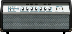 Ampeg SVT 50th Heritage Special Edition Amplificador de bajo de tubo