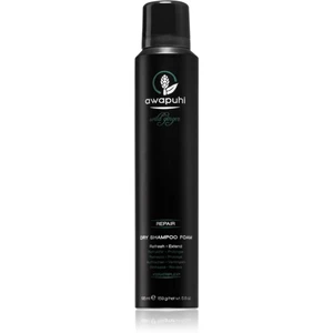 Paul Mitchell Awapuhi Wild Ginger pěnový suchý šampon 195 ml