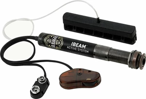 L.R. Baggs iBeam Micro guitare acoustique