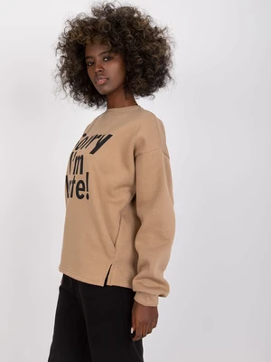 Dark beige oversized sweatshirt with a print without a hood Francisco