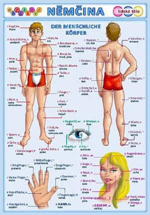 Obrázková němčina 3 Lidské tělo - Petr Kupka