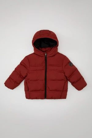 DEFACTO Baby Boy Water Repellent Fabric Hooded Puffer Jacket