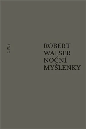 Noční myšlenky - Robert Walser