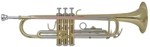 Bach TR655 Bb Bb Trompete