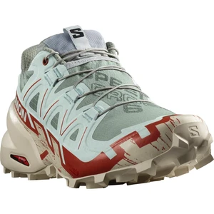 Salomon Speedcross 6 EU 40 ⅔, Lily Pad/Rainy Day/Bleached Aqua Dámské běžecké boty