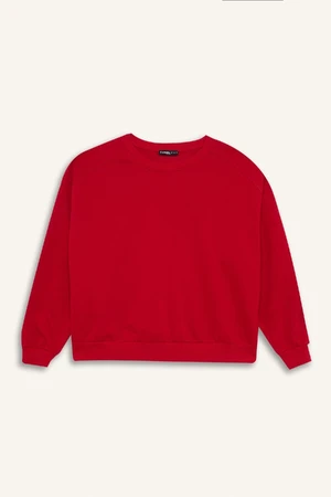 DEFACTO Oversize Wide Pattern Crew Neck Thick Fabric Basic Red Sweatshirt