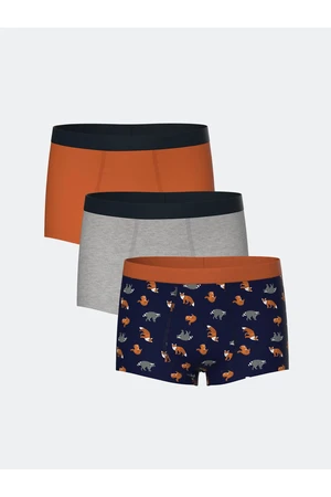 LC Waikiki Printed Boy's Boxer Set of 3