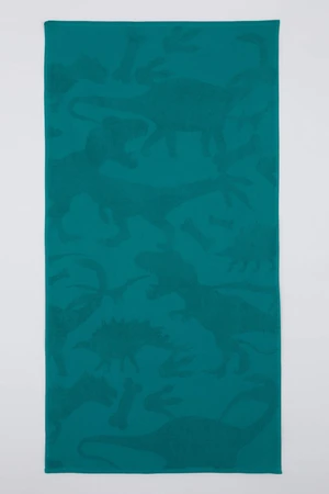 DEFACTO Boy Beach Towel