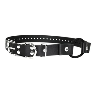 E-collar Bungee Halsband aus Kunstleder (Biothane) - 2,5 cm  černá