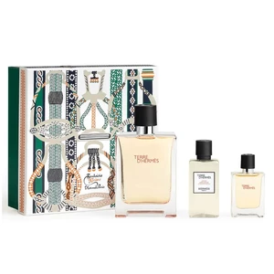 Hermes Terre D´ Hermes - EDT 100 ml + voda po holení 40 ml + EDT 12,5 ml