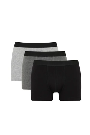 DEFACTO Regular Fit 3-Piece Boxer