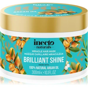 Inecto Argan vyživující maska pro lesk a hebkost vlasů 300 ml