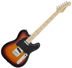 Pasadena TL-10 Sunburst Chitară electrică