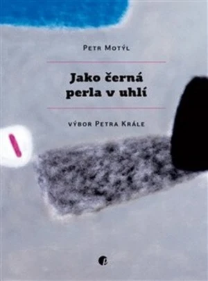 Jako černá perla v uhlí - Petr Král, Petr Motýl