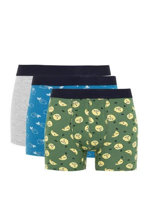 DEFACTO 3 piece Regular Fit Knitted Boxer