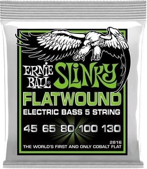 Ernie Ball 2816 Regular Slinky 5 Cordes de basses