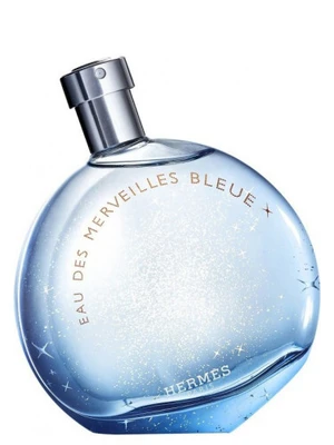 Hermes Eau Des Merveilles Bleue Edt 100ml