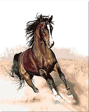 Zuty Peinture par numéros Cheval au galop