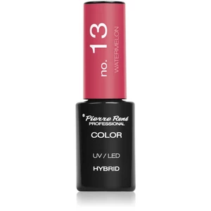 Pierre René Nails Hybrid gélový lak na nechty s použitím UV/LED lampy odtieň No. 13 Watermelon 6 ml