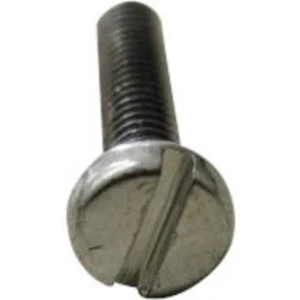 Cylindrické šrouby Toolcraft, DIN 84, M8, 10 mm, 100 ks