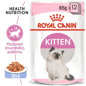 Royal Canin Pouch Kitten Instinctive Jelly - 85g