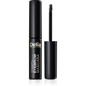 Delia Cosmetics Eyebrow Expert riasenka na obočie odtieň Graphite 4 ml